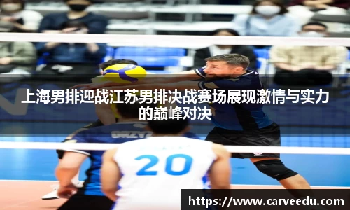 上海男排迎战江苏男排决战赛场展现激情与实力的巅峰对决
